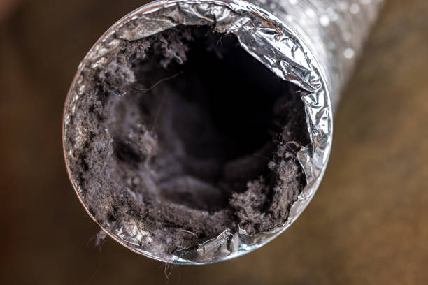 Best Home Air Vent Cleaning  in Evanston, IL